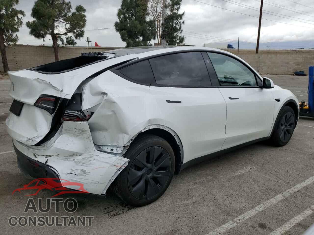 TESLA MODEL Y 2024 - 7SAYGDED4RF118247