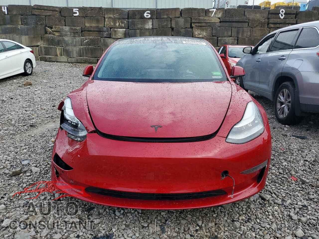 TESLA MODEL 3 2019 - 5YJ3E1EB6KF389794