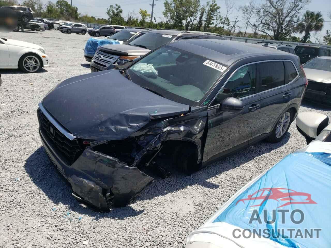 HONDA CRV 2025 - 2HKRS3H40SH320404