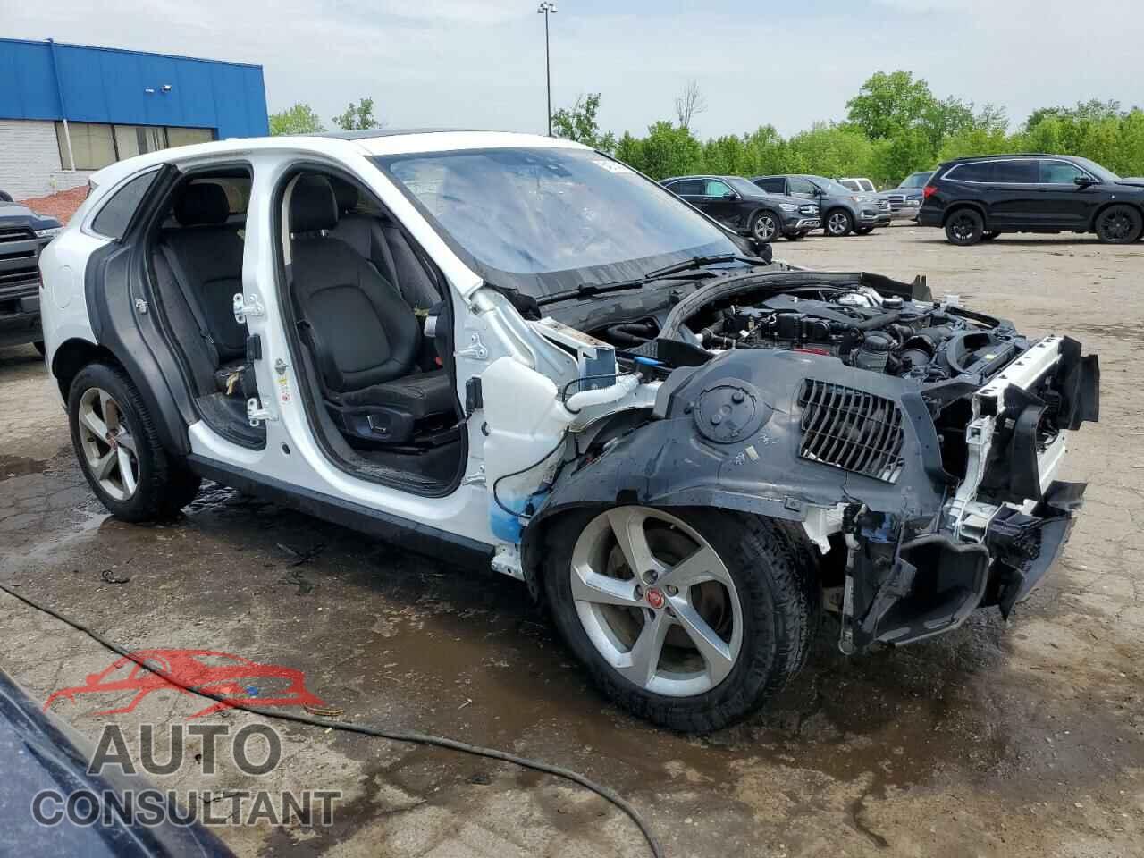 JAGUAR F-PACE 2019 - SADCS2FX2KA606070