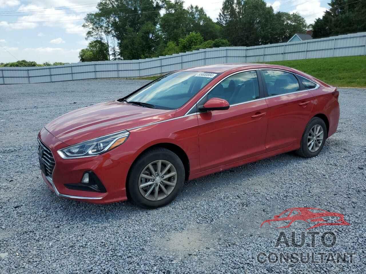 HYUNDAI SONATA 2019 - 5NPE24AFXKH752174
