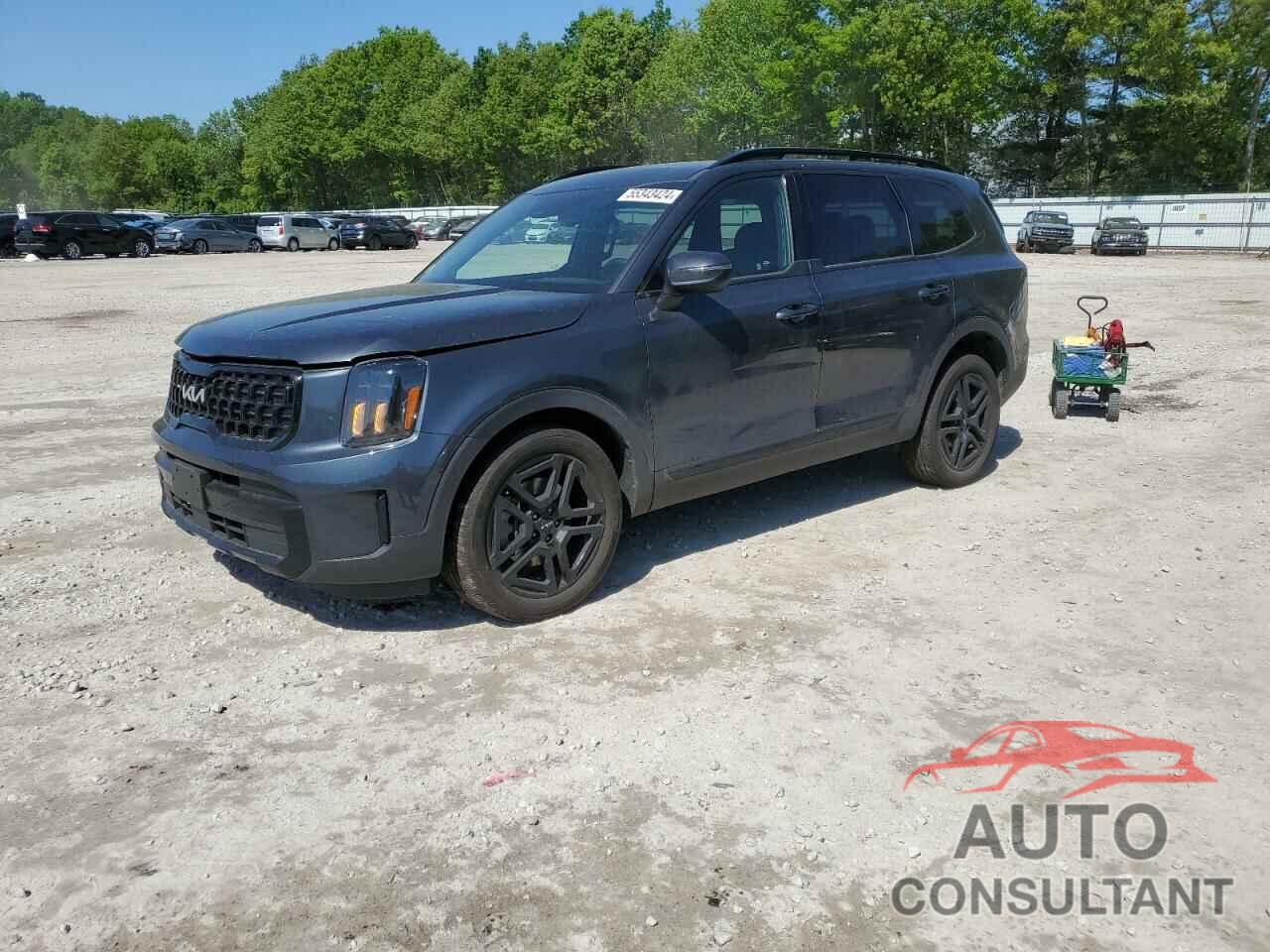 KIA TELLURIDE 2024 - 5XYP3DGC0RG458593