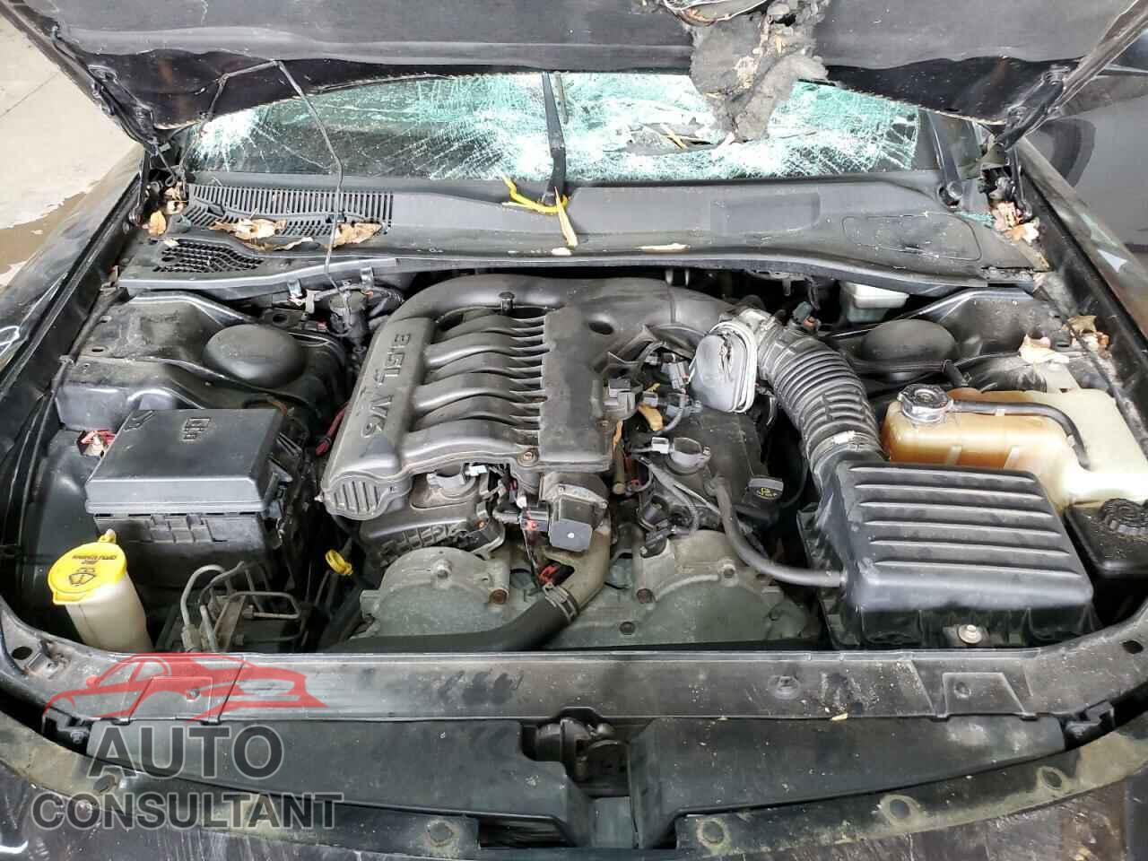 DODGE CHARGER 2010 - 2B3AA4CV2AH163389