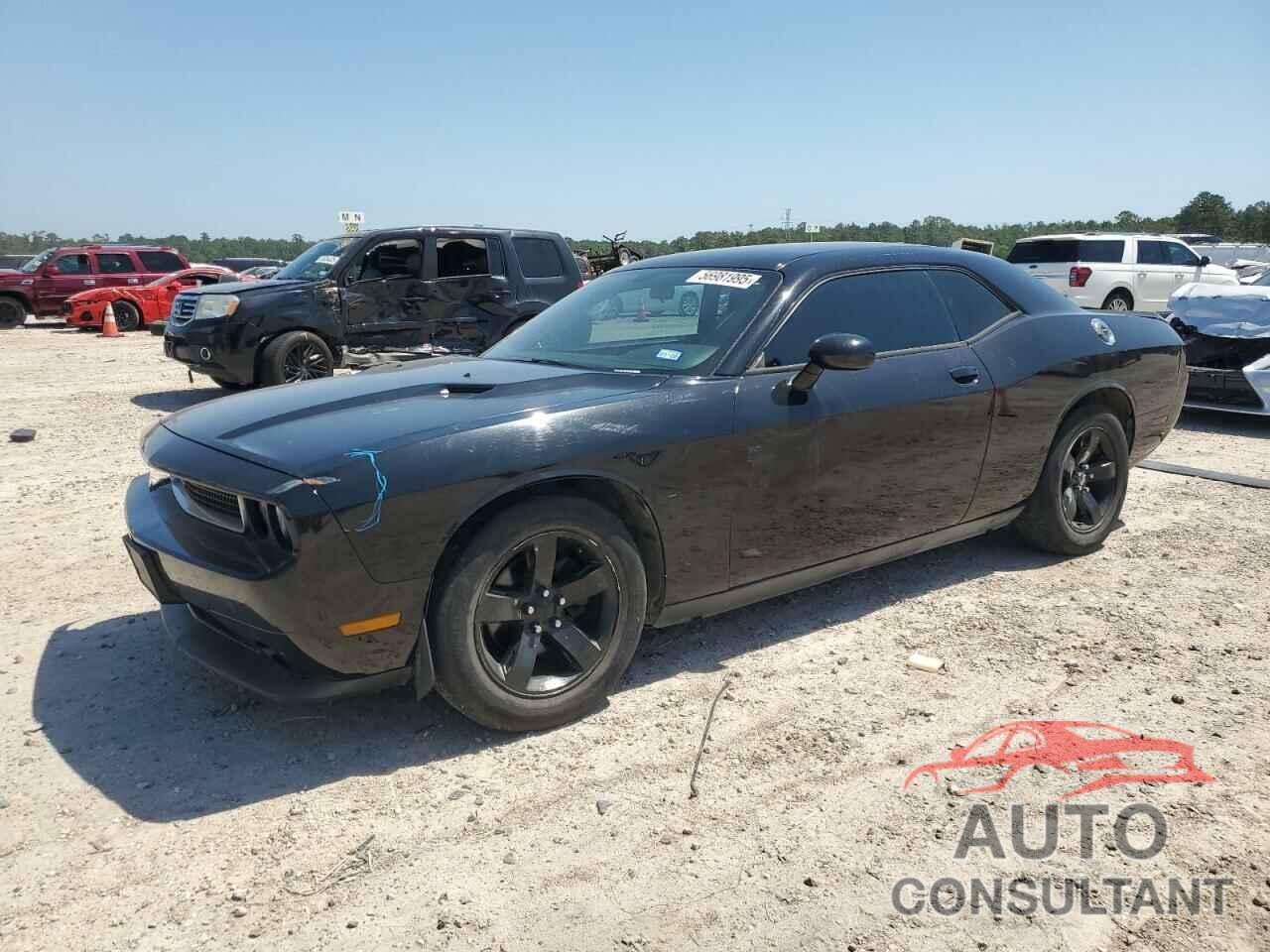 DODGE CHALLENGER 2013 - 2C3CDYAG4DH511941