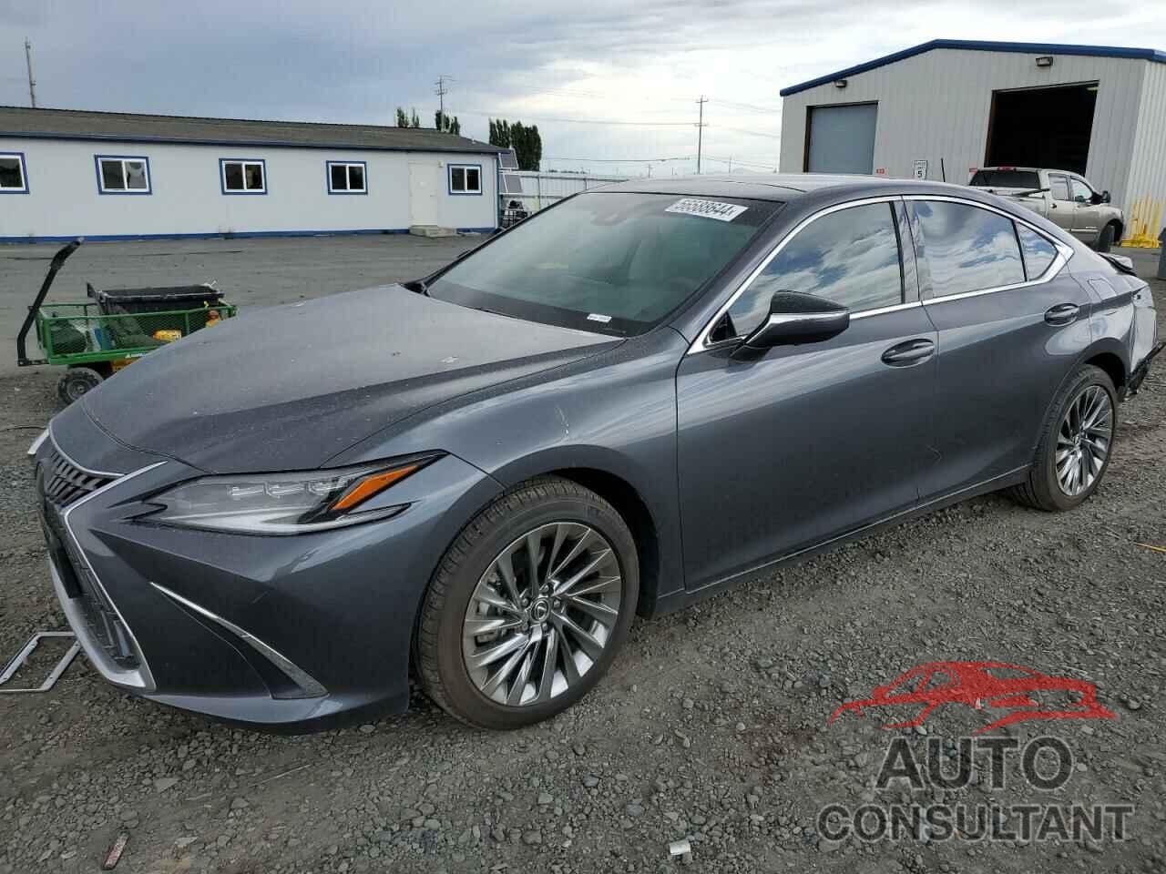 LEXUS ES350 2024 - 58AFZ1B12RU168602