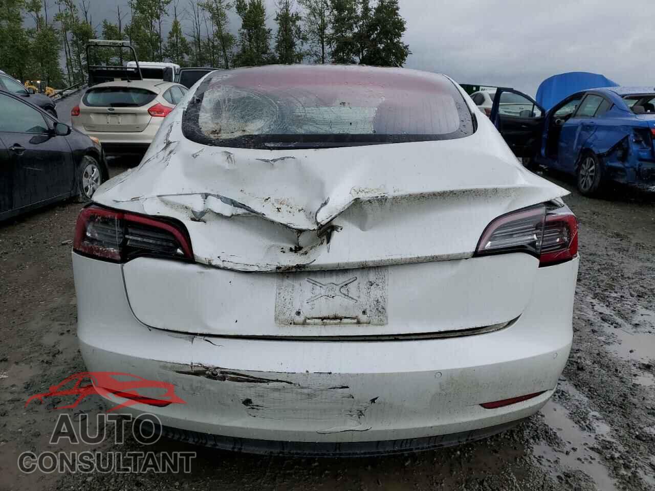TESLA MODEL 3 2017 - 5YJ3E1EA7HF000824