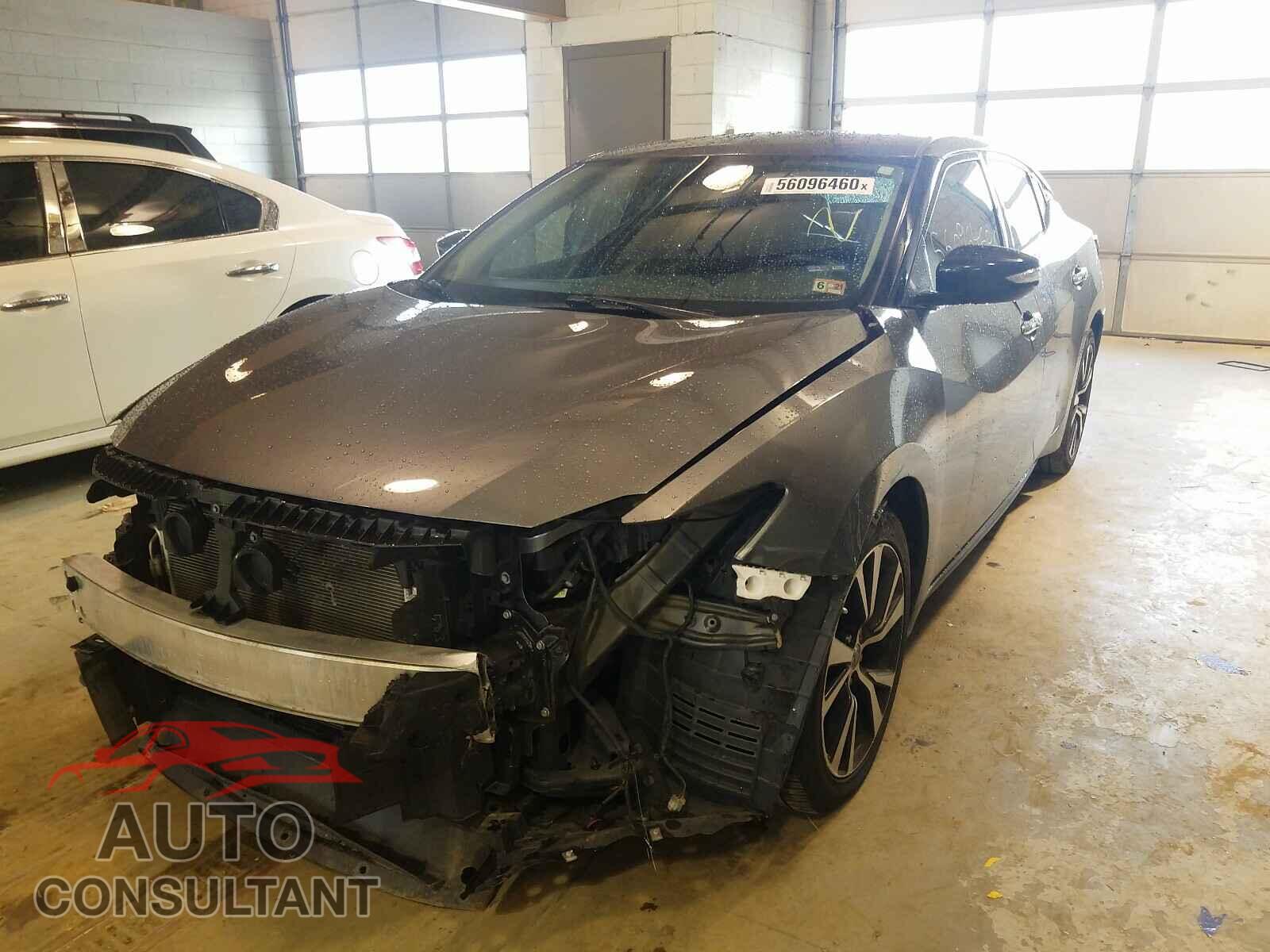 NISSAN MAXIMA 2017 - 1N4AA6AP1HC442589