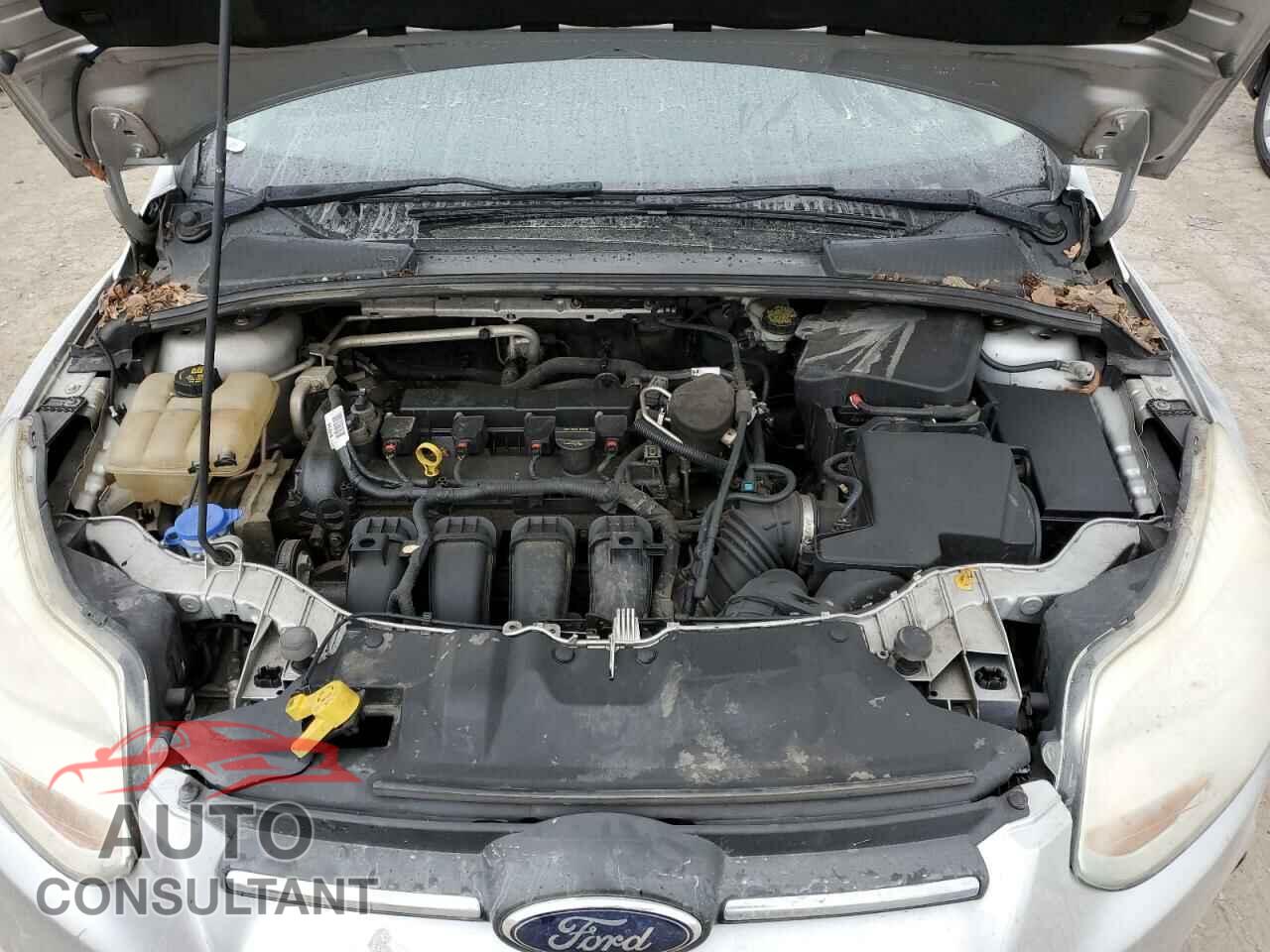 FORD FOCUS 2014 - 1FADP3F2XEL287558