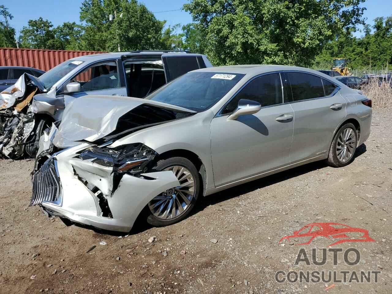 LEXUS ES300 2021 - 58AEA1C10MU011662