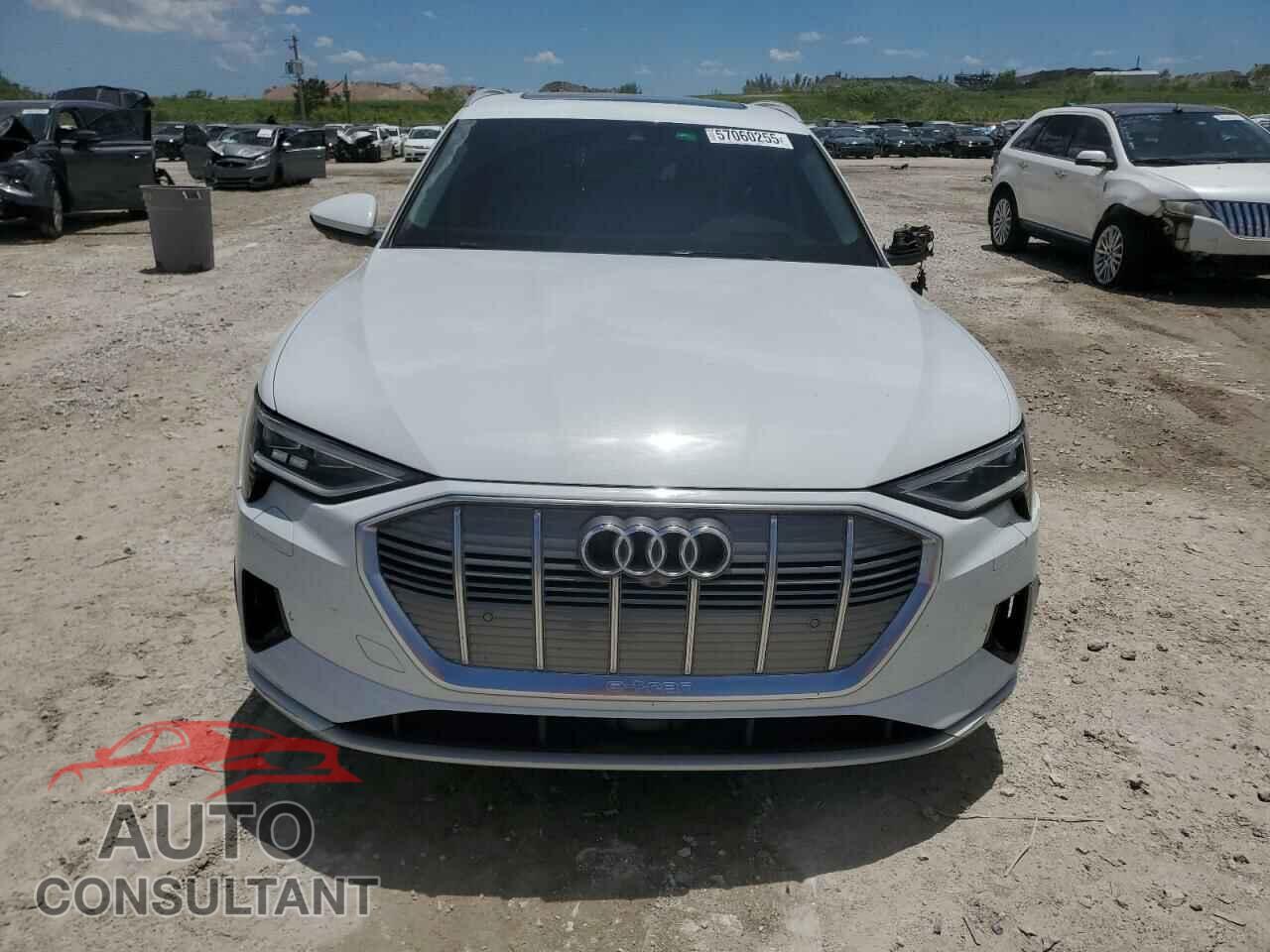 AUDI E-TRON 2019 - WA1VAAGE0KB013133