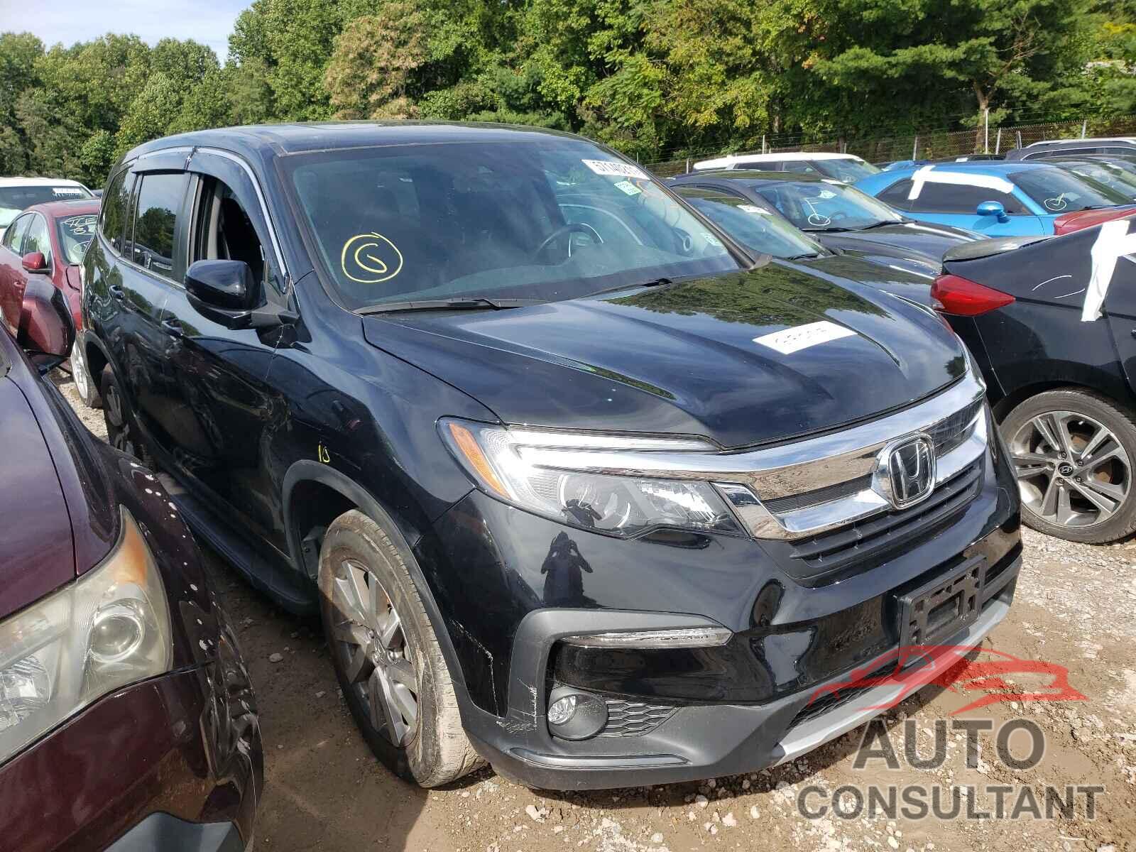 HONDA PILOT 2019 - 5FNYF6H58KB073500