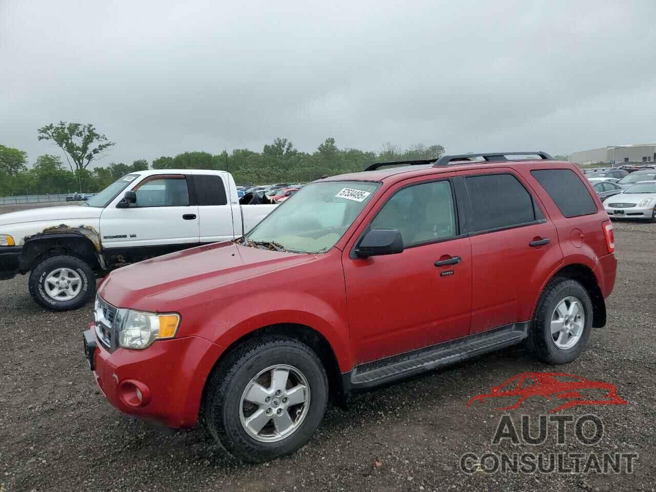 FORD ESCAPE 2011 - 1FMCU0D7XBKA67779