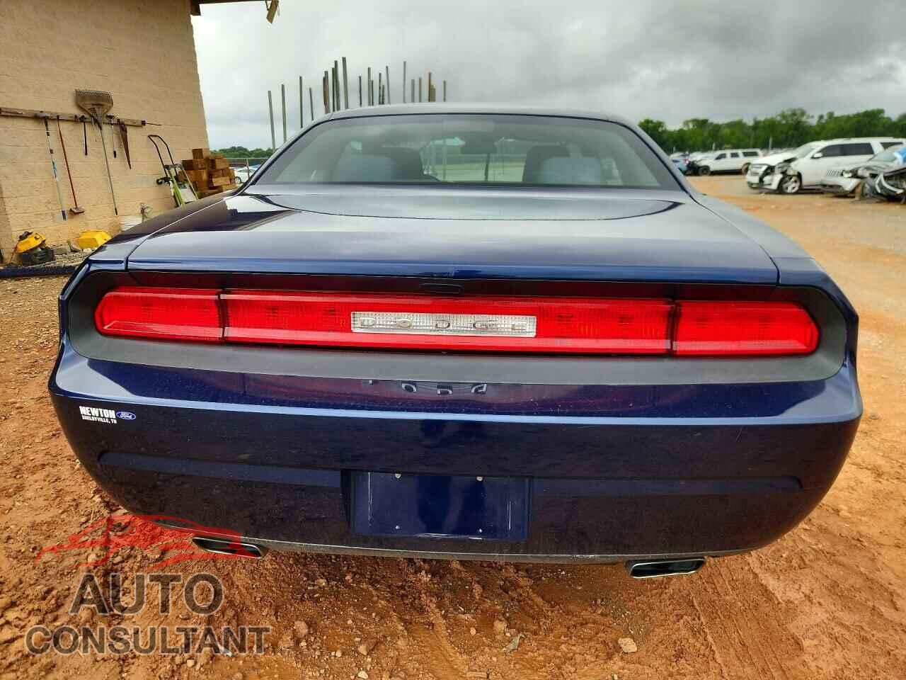 DODGE CHALLENGER 2013 - 2C3CDYAG7DH607806