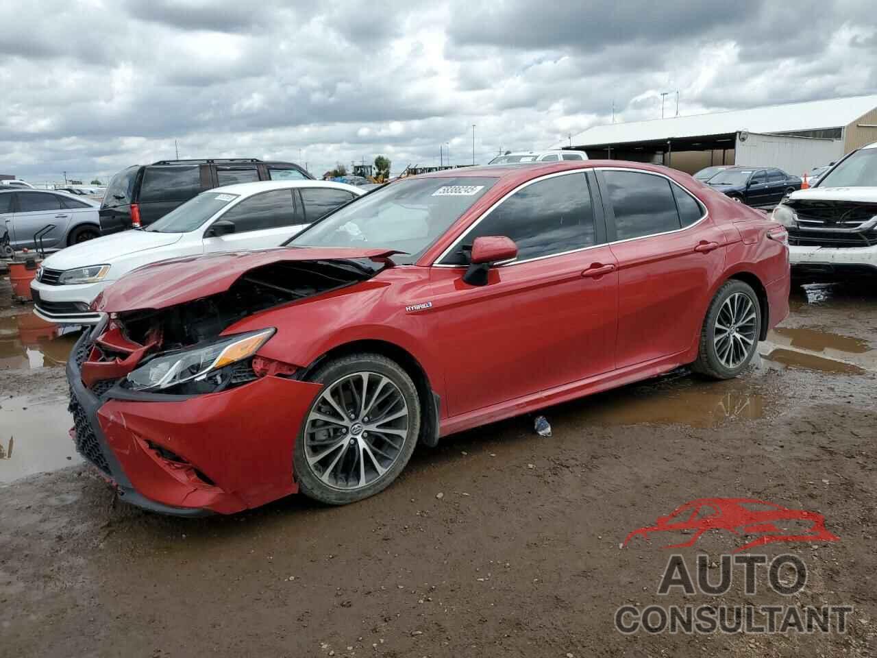 TOYOTA CAMRY 2019 - 4T1B21HK6KU012093