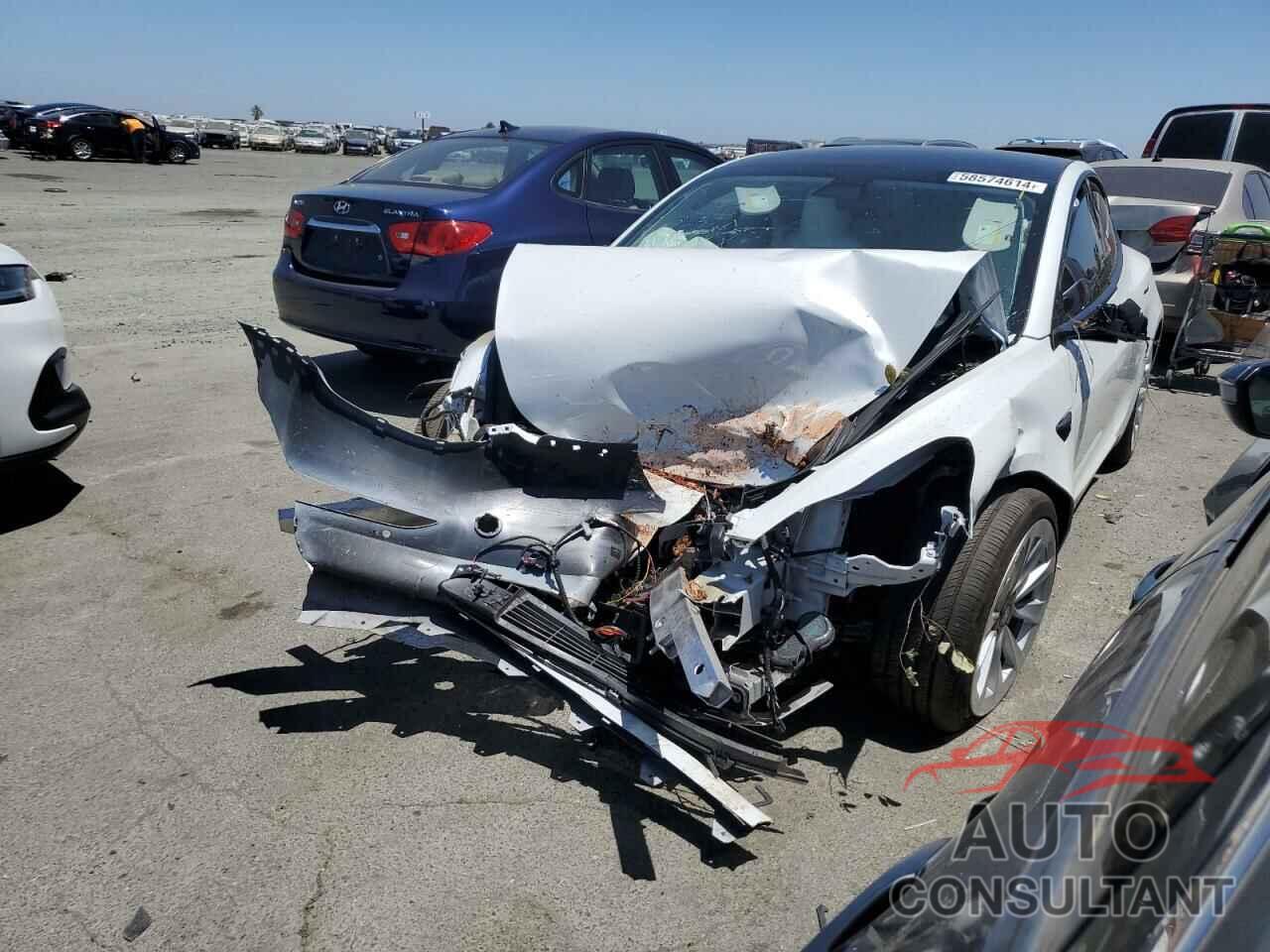 TESLA MODEL 3 2021 - 5YJ3E1EB0MF015636