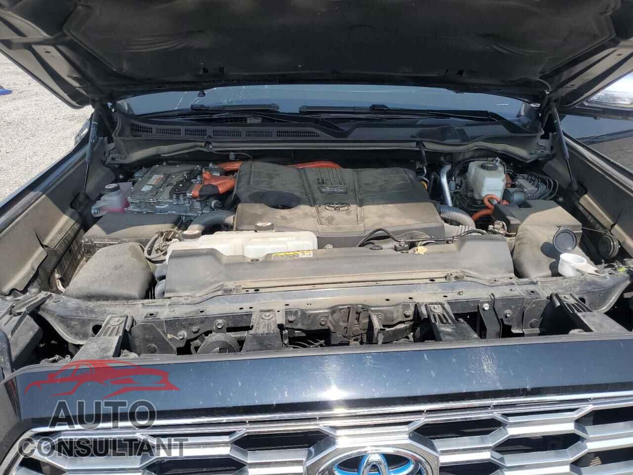 TOYOTA SEQUOIA 2023 - 7SVAAABA9PX007128