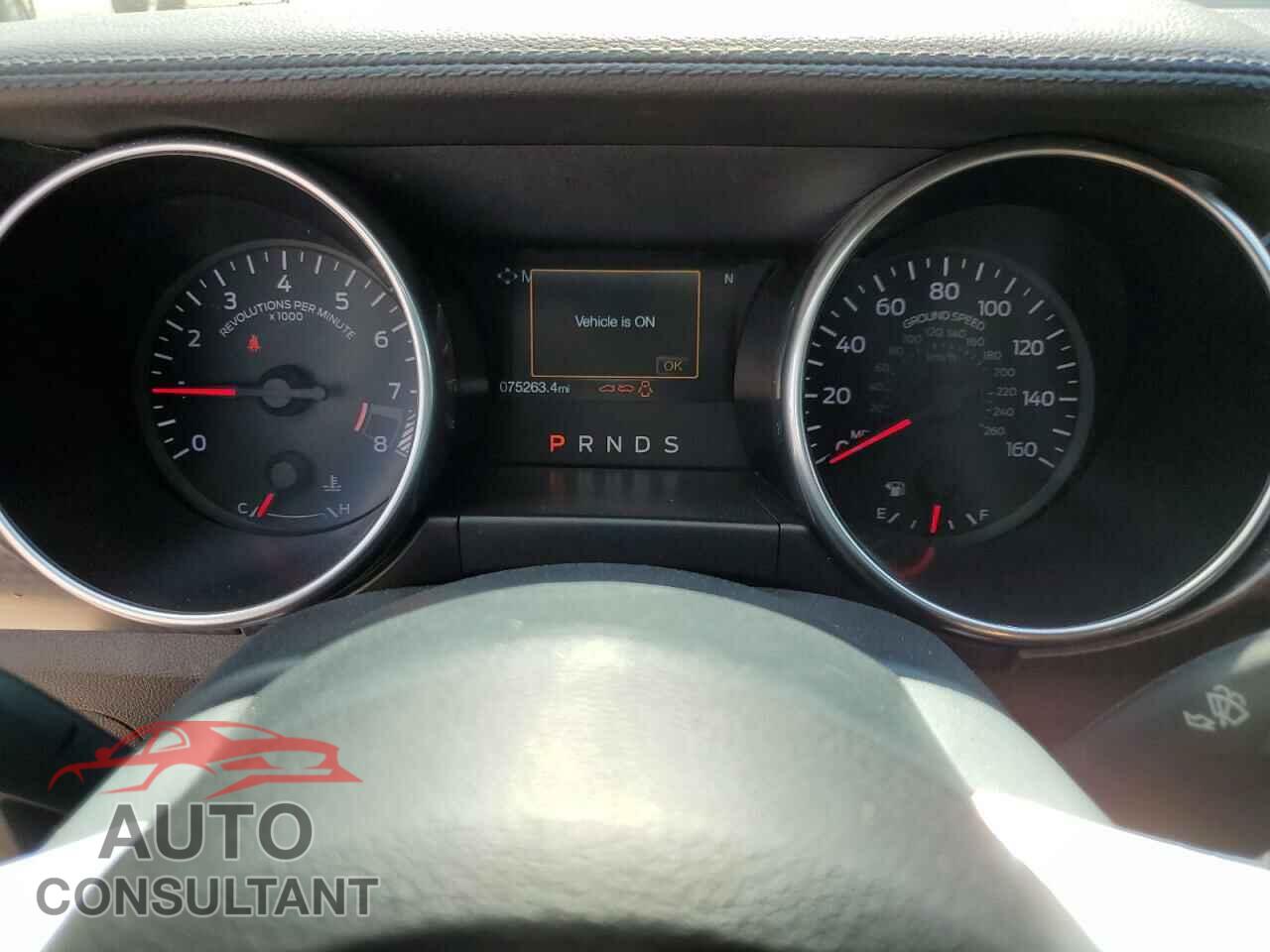 FORD MUSTANG 2019 - 1FA6P8CF5K5115094