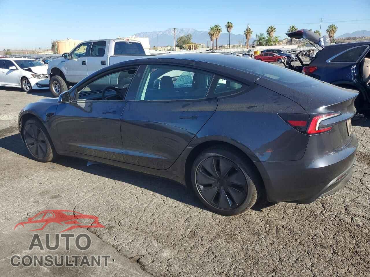 TESLA MODEL 3 2025 - 5YJ3E1EA3SF919145