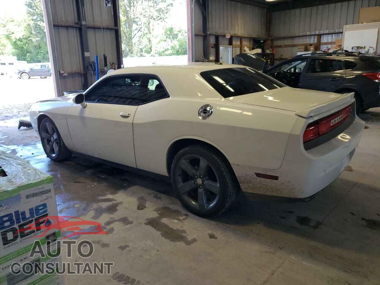 DODGE CHALLENGER 2013 - 2C3CDYAG3DH570057