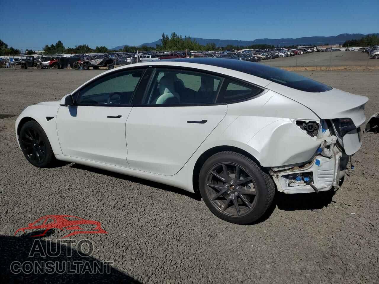 TESLA MODEL 3 2021 - 5YJ3E1EB4MF093160