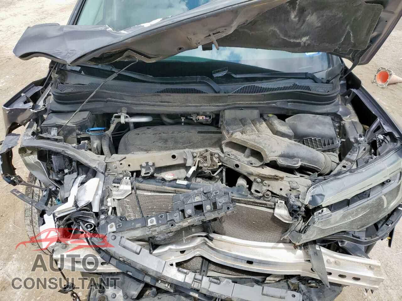 HONDA PILOT 2019 - 5FNYF5H59KB028091