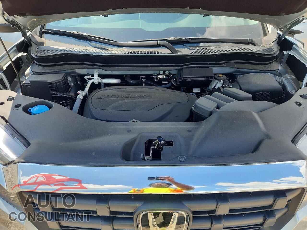 HONDA RIDGELINE 2025 - 5FPYK3F46SB028535