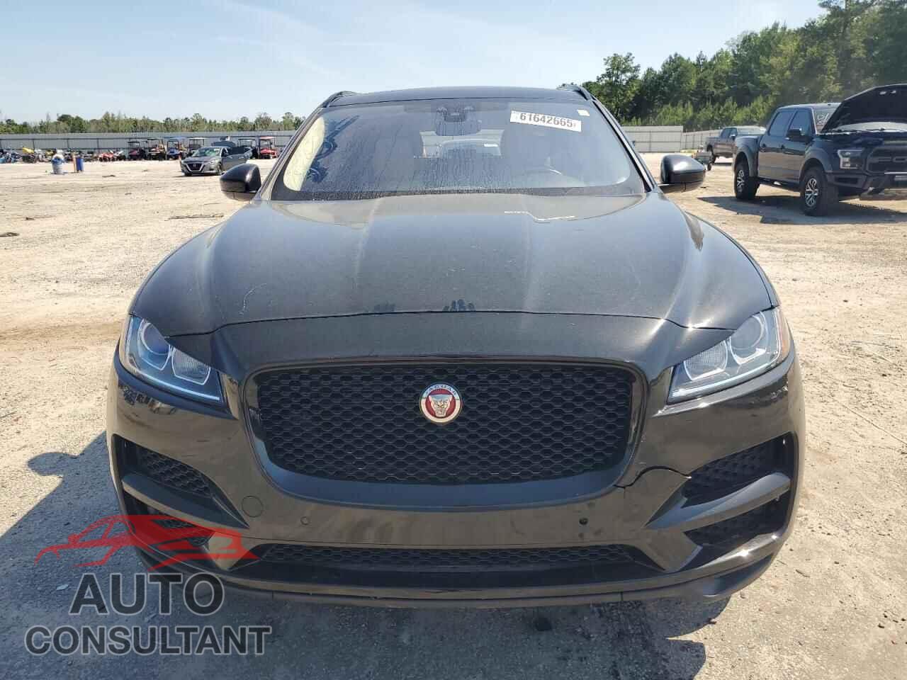 JAGUAR F-PACE 2020 - SADCJ2FX2LA653703