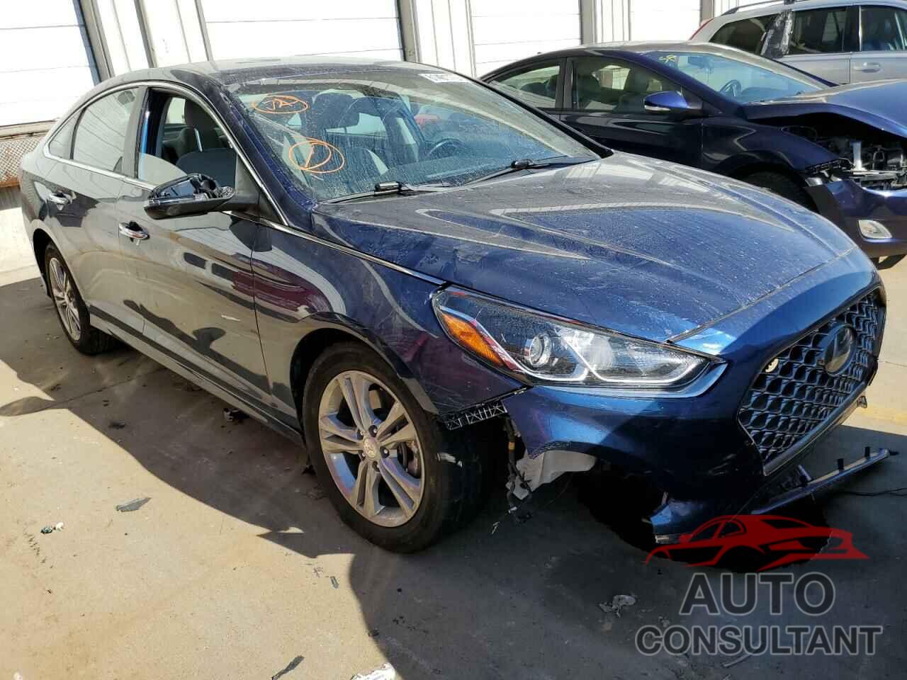 HYUNDAI SONATA 2019 - 5NPE34AF0KH791448