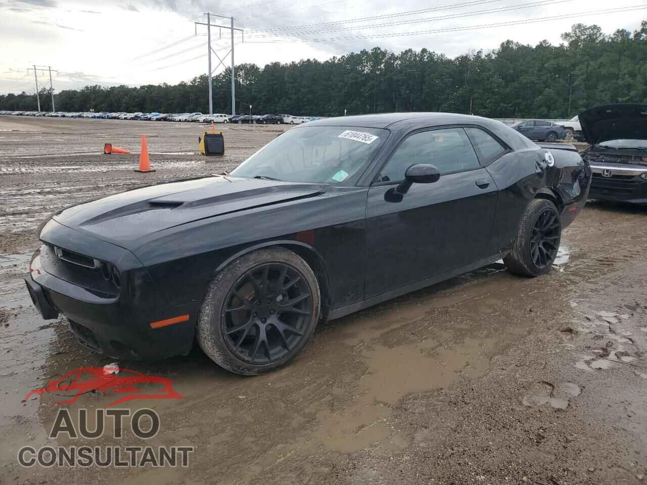 DODGE CHALLENGER 2016 - 2C3CDZAG4GH231995