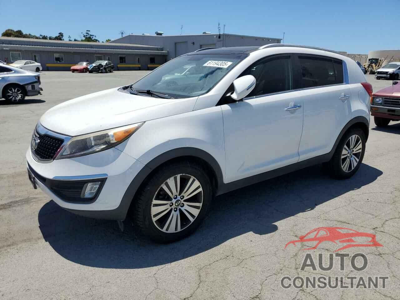 KIA SPORTAGE 2016 - KNDPC3AC6G7840186