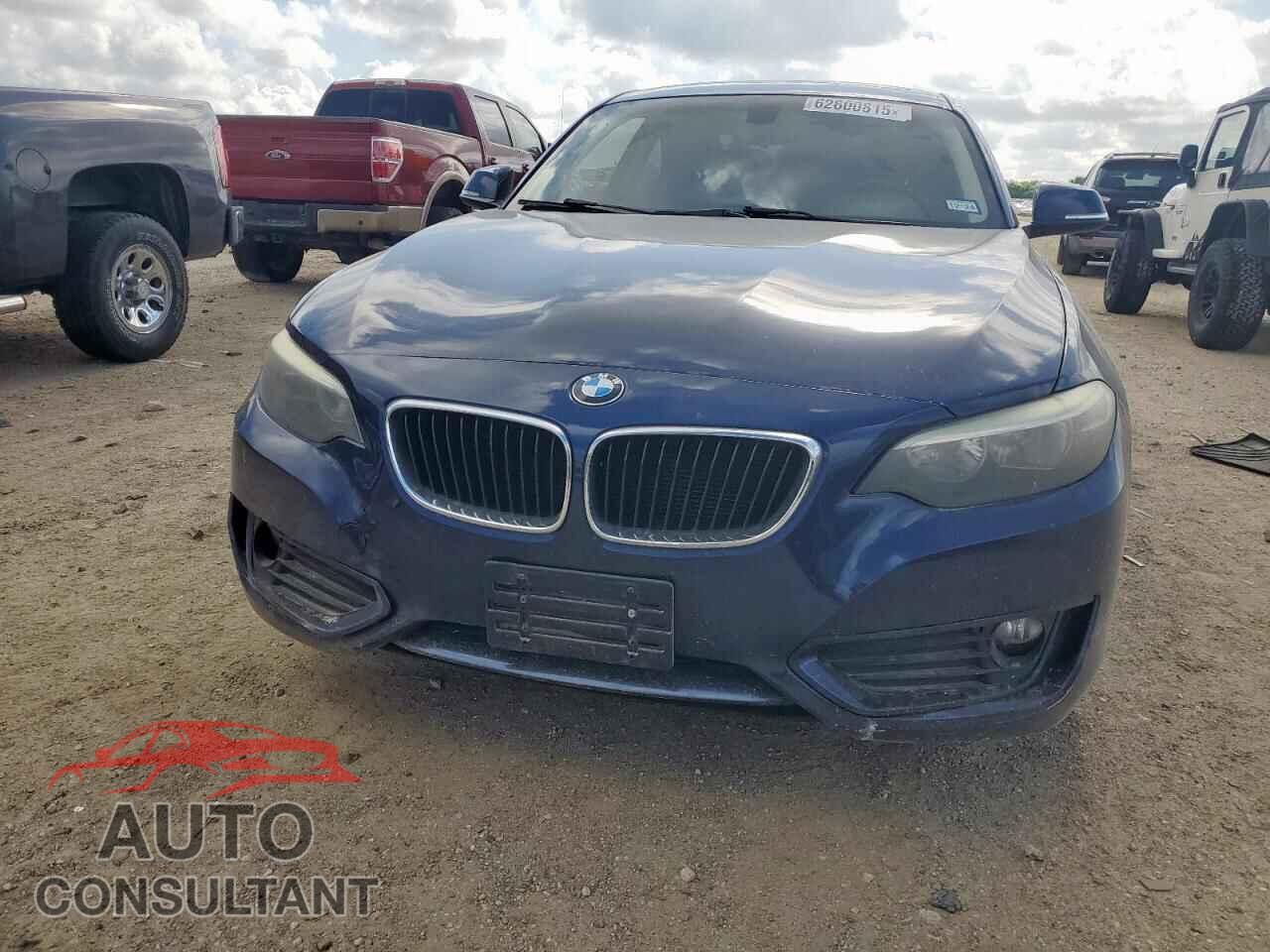 BMW 2 SERIES 2014 - WBA1F5C57EV256134
