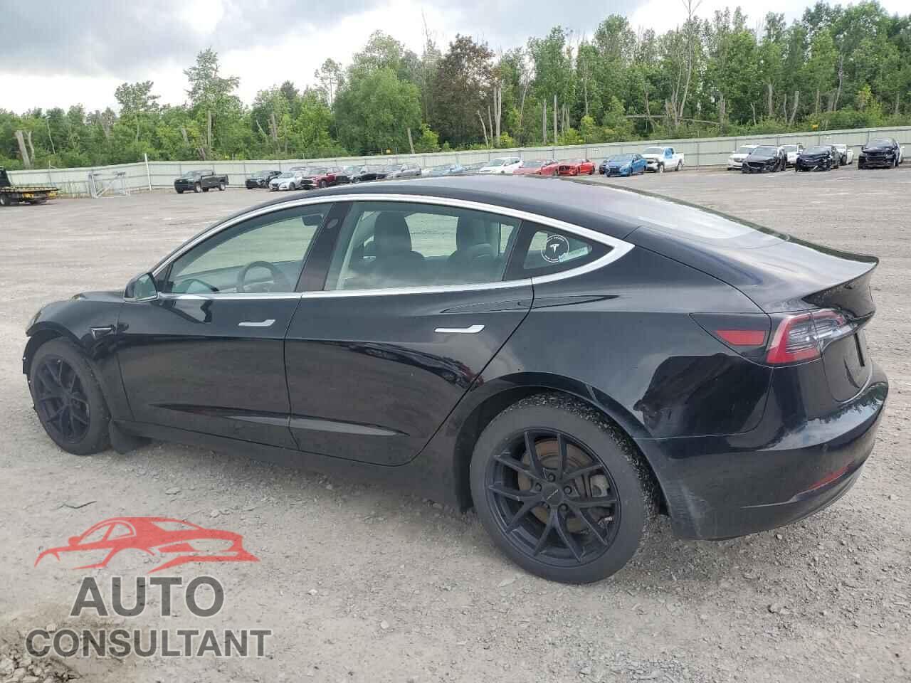 TESLA MODEL 3 2019 - 5YJ3E1EA8KF306177