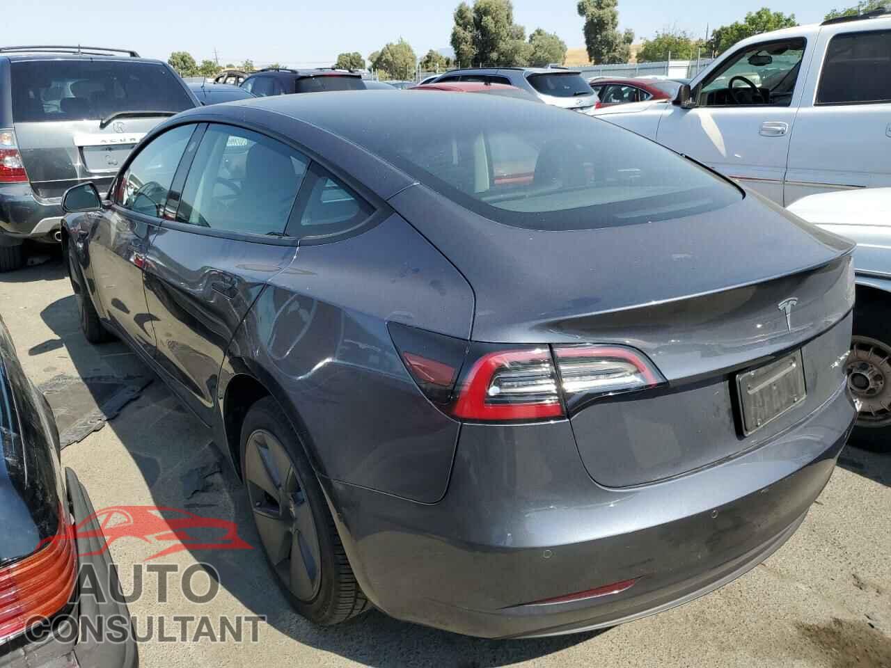 TESLA MODEL 3 2022 - 5YJ3E1EB5NF181376