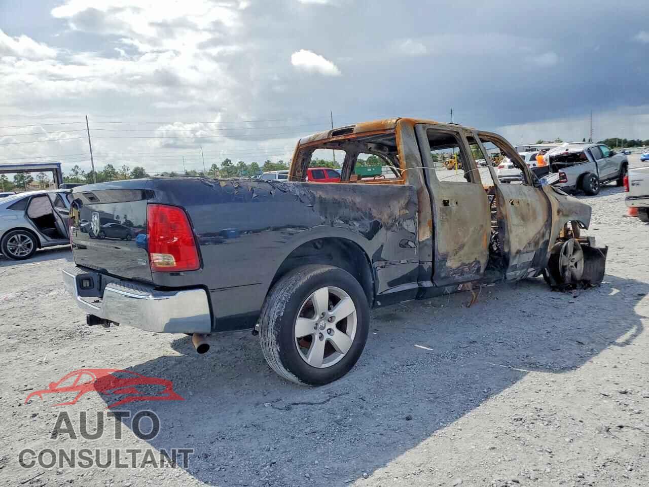 DODGE RAM 1500 2010 - 1D7RB1GP4AS206394