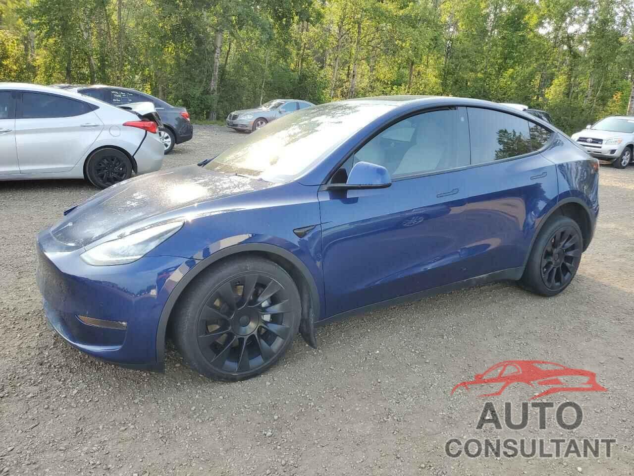 TESLA MODEL Y 2021 - 5YJYGDEE7MF302791