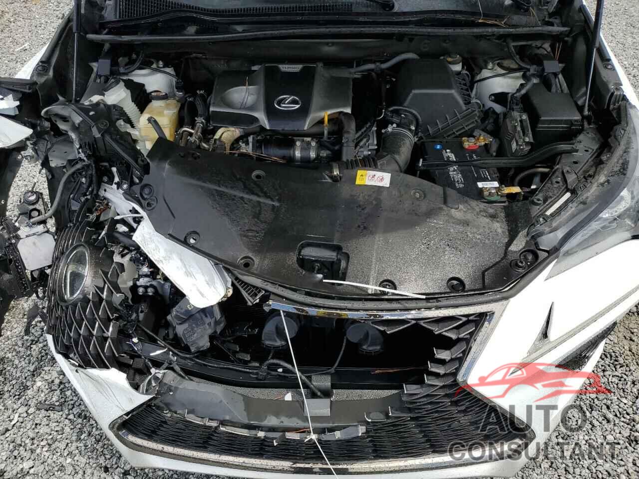 LEXUS NX 2019 - JTJYARBZ9K2125907