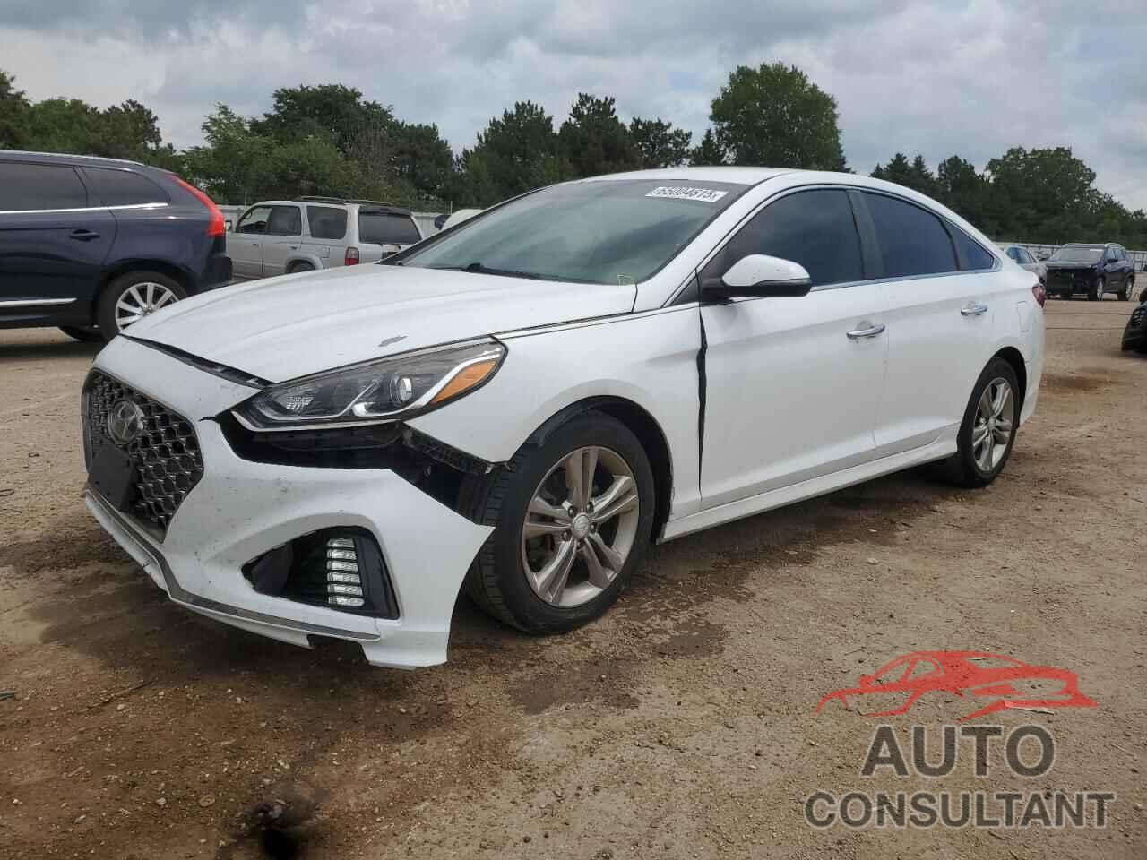 HYUNDAI SONATA 2019 - 5NPE34AF2KH754580