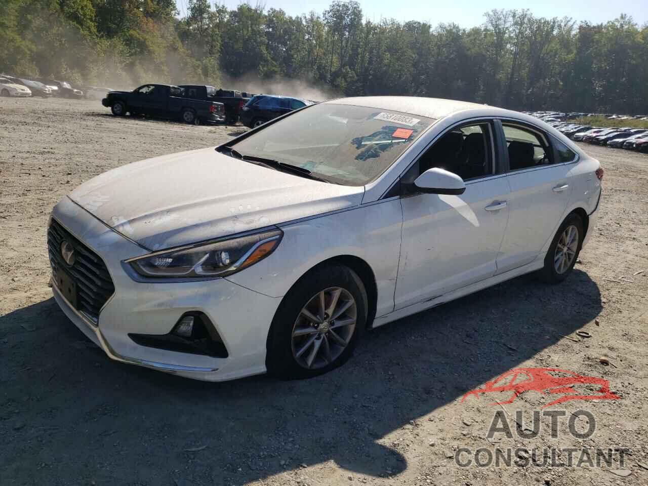 HYUNDAI SONATA 2019 - 5NPE24AF3KH802395