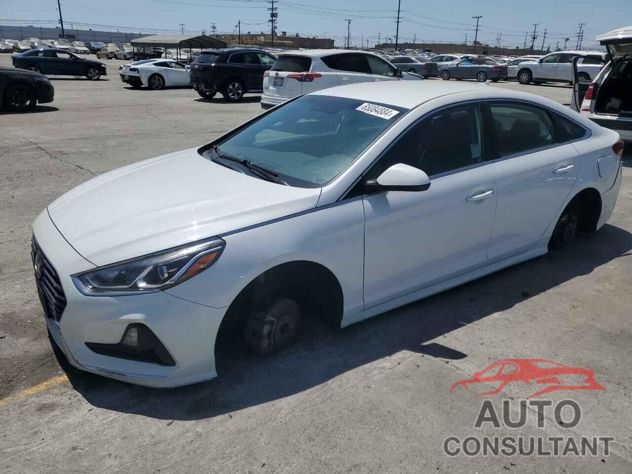 HYUNDAI SONATA 2019 - 5NPE24AF3KH729660