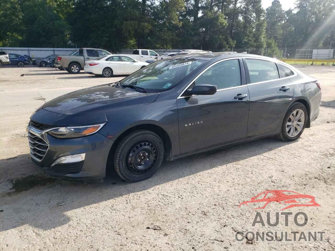 CHEVROLET MALIBU 2019 - 1G1ZD5ST2KF114851