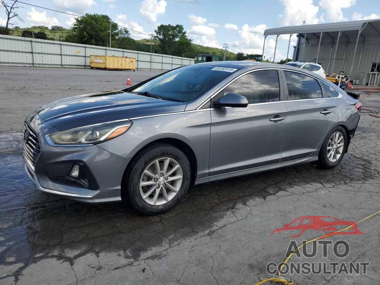 HYUNDAI SONATA 2019 - 5NPE24AF3KH766742