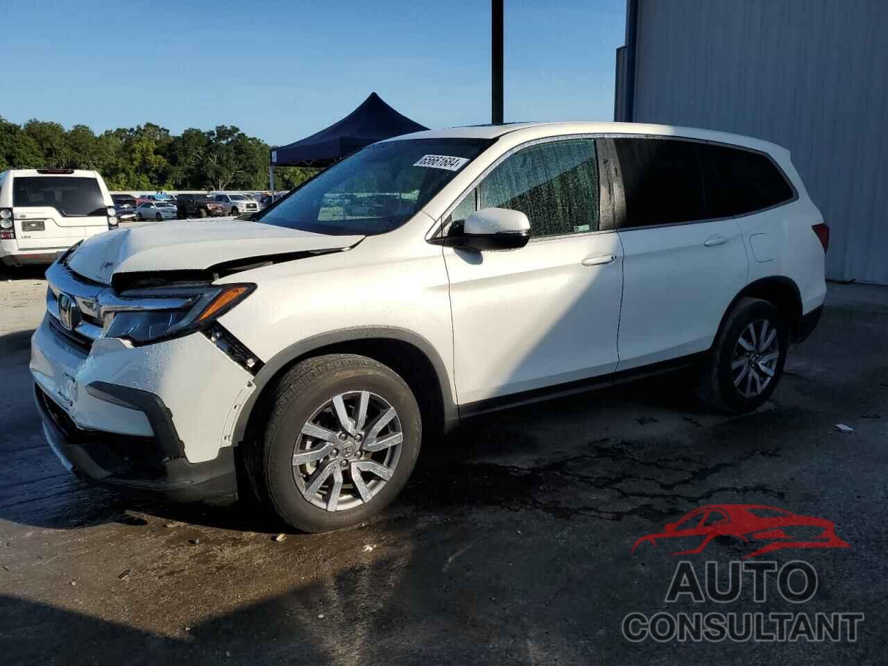 HONDA PILOT 2019 - 5FNYF5H58KB037803