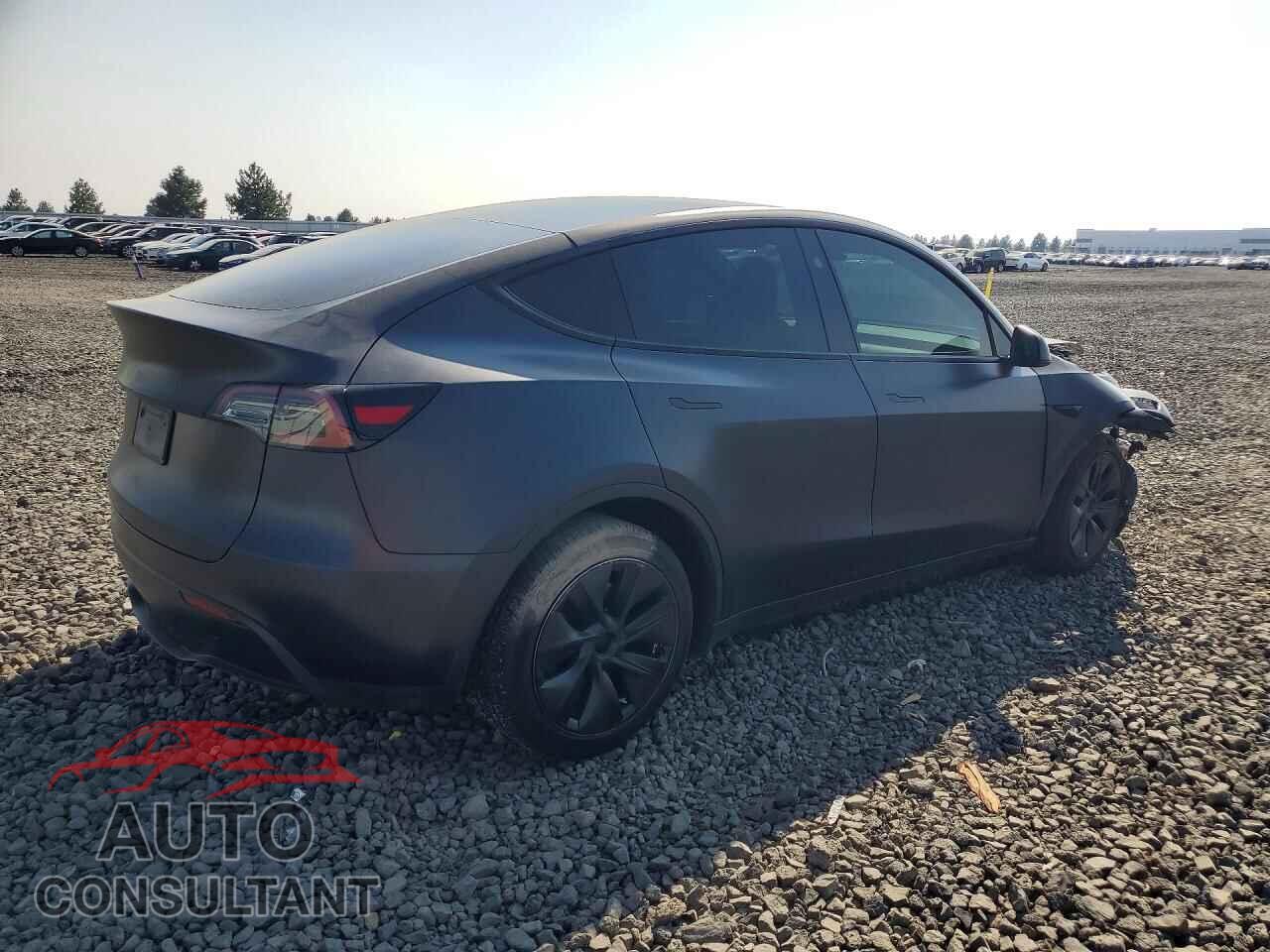 TESLA MODEL Y 2024 - 7SAYGDEE2RF116893