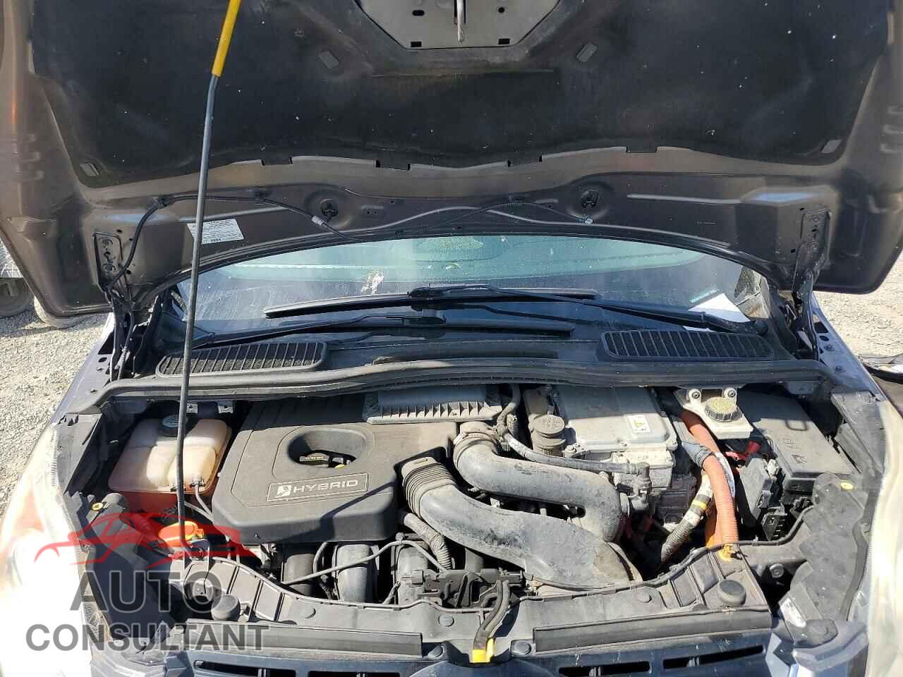 FORD CMAX 2013 - 1FADP5BU2DL516882