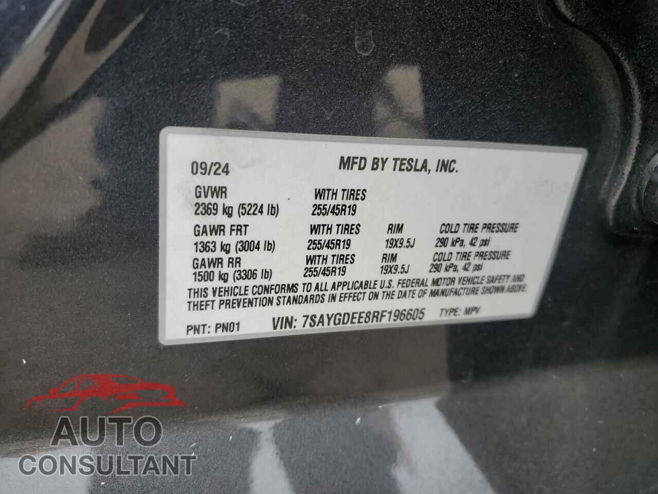 TESLA MODEL Y 2024 - 7SAYGDEE8RF196605