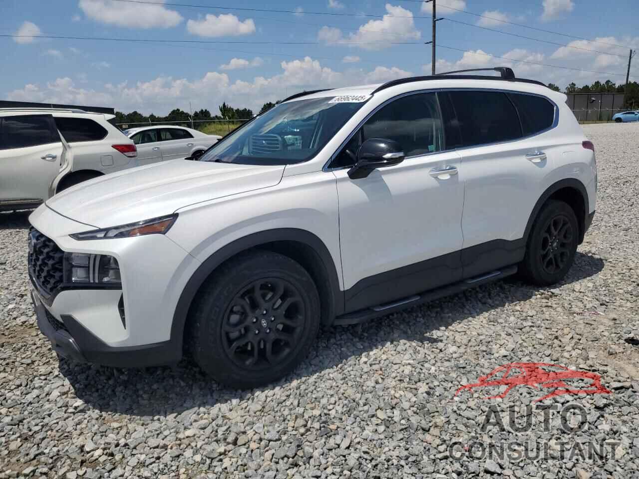 HYUNDAI SANTA FE 2022 - 5NMS64AJ9NH383322