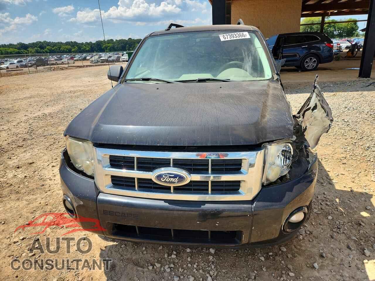 FORD ESCAPE 2010 - 1FMCU0D77AKB11610