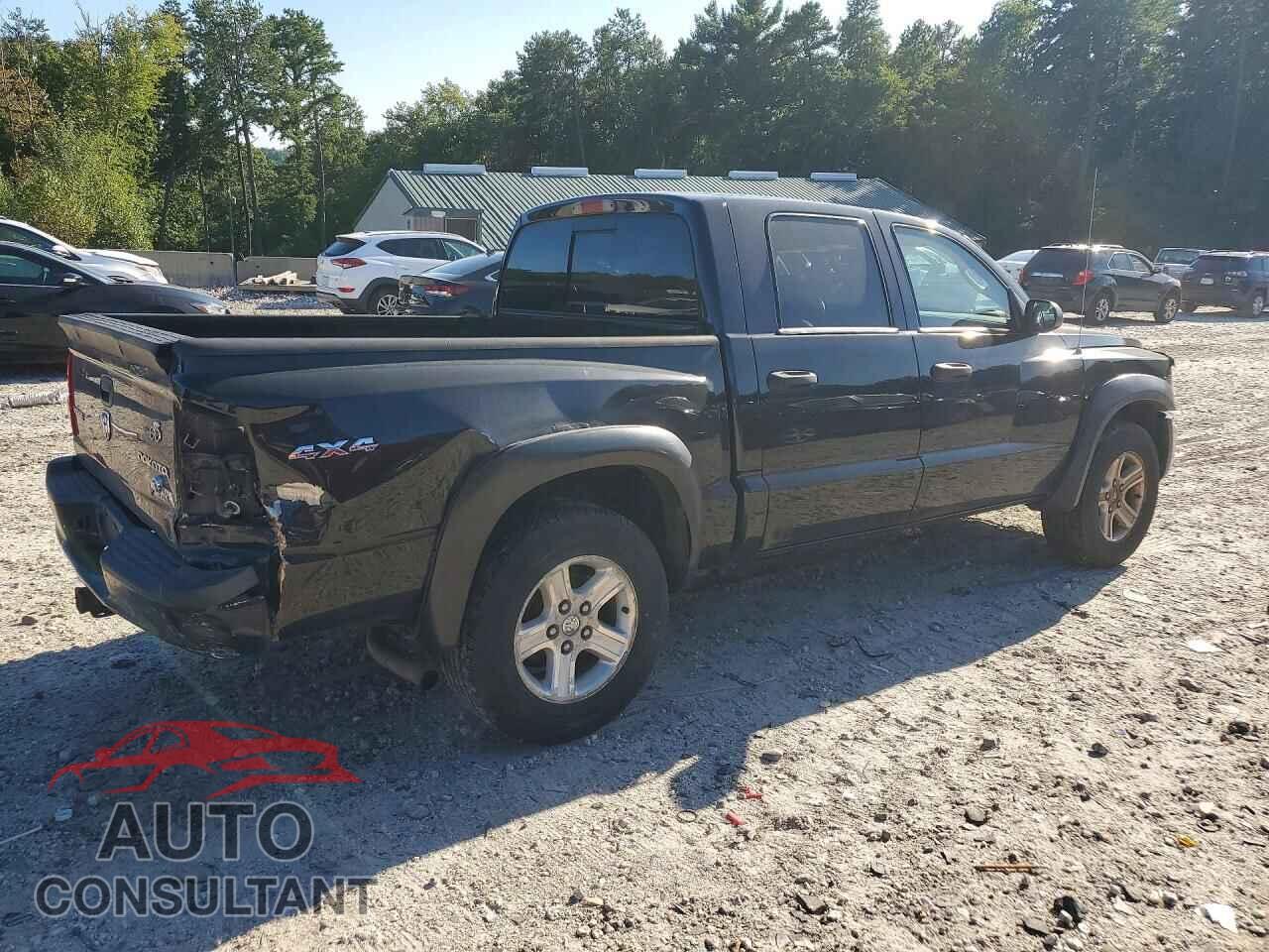 DODGE DAKOTA 2010 - 1D7CW3GK4AS228292