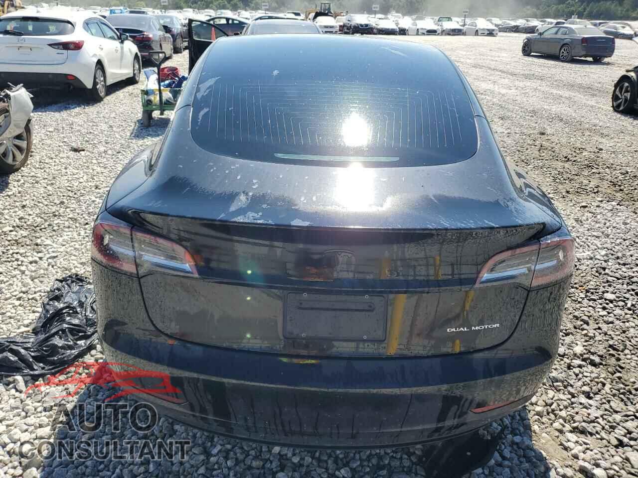 TESLA MODEL 3 2019 - 5YJ3E1EB0KF384980