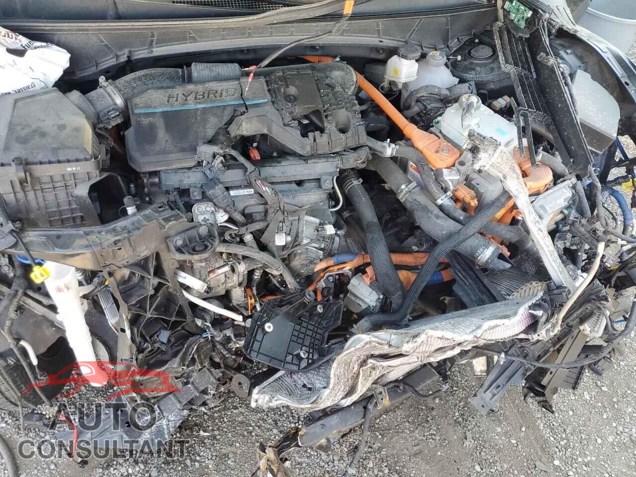 HYUNDAI TUCSON ULT 2024 - KM8JDDD29RU145695